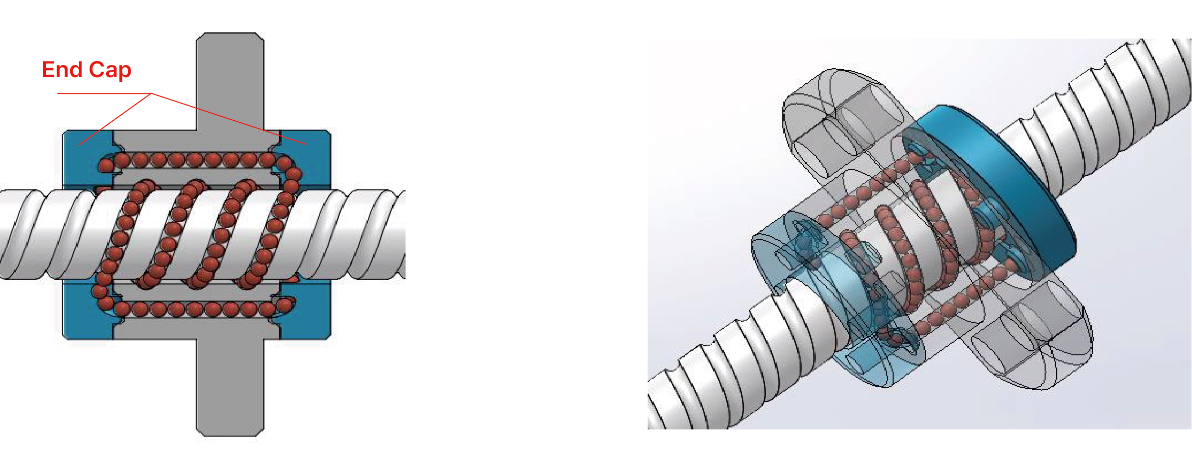 Capuchon d’extrémité